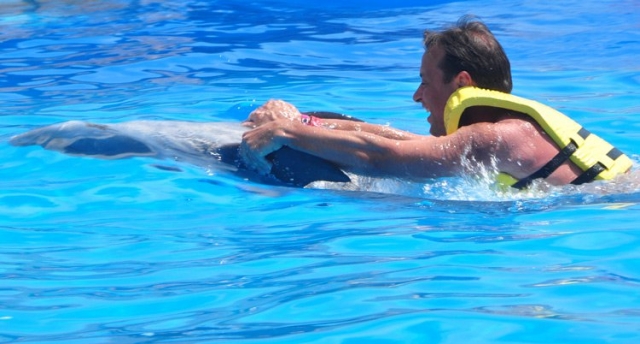 nadando con el delfin